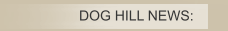 DOG HILL NEWS: 