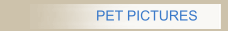 PET PICTURES