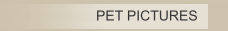 PET PICTURES